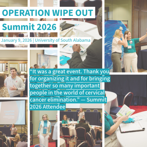 OPERATION WIPE OUT SUMMIT 2026